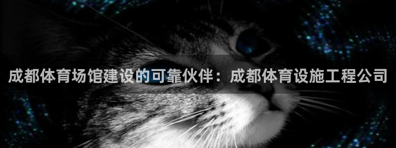 意昂体育3官方客服电话：成都体育场馆建设的可靠伙伴：