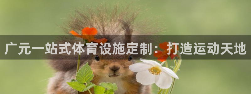 意昂体育3联系电话：广元一站式体育设施定制：打造运动