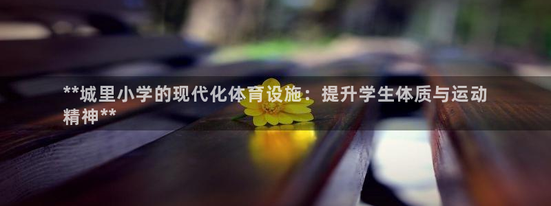 意昂平台体育：**城里小学的现代化体育设施：提升学生