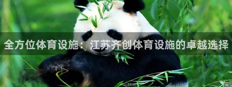 意昂3新能源：全方位体育设施：江苏齐创体育设施的卓越