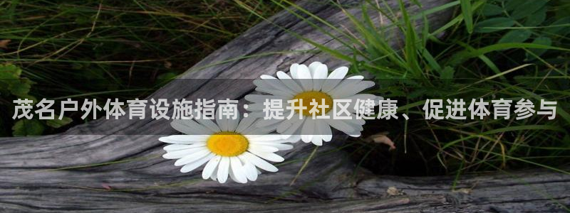 意昂3娱乐网站：茂名户外体育设施指南：提升社区健康、