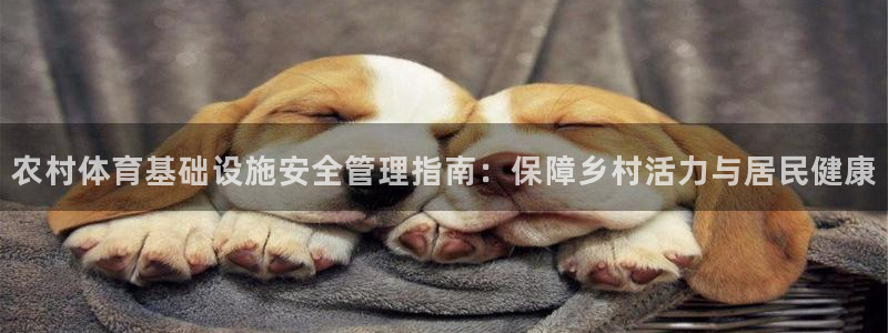 意昂体育3平台是正规平台吗：农村体育基础设施安全管理