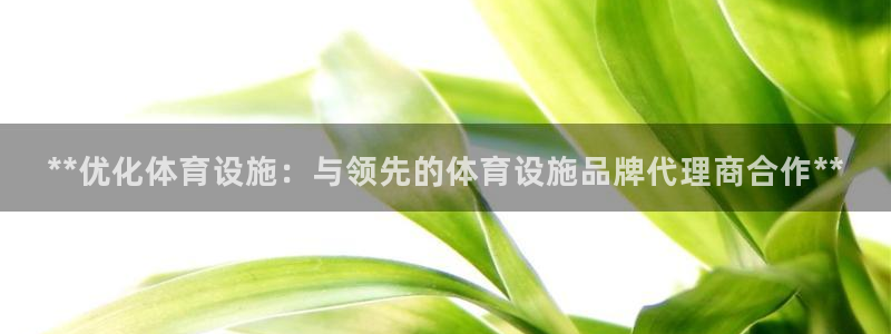 海南意昂体育3：**优化体育设施：与领先的体育设施品