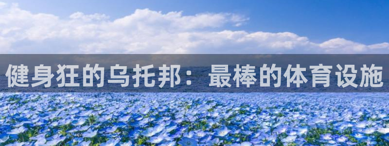 意昂3集团简介：健身狂的乌托邦：最棒的体育设施