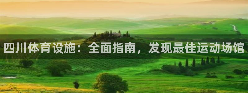 意昂3集团E.ON：四川体育设施：全面指南，发现最佳
