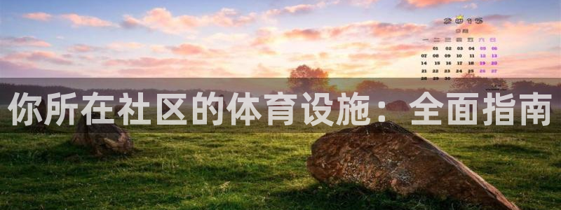 意昂体育3开户：你所在社区的体育设施：全面指南