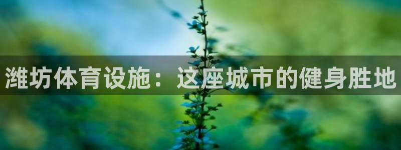意昂3集团：潍坊体育设施：这座城市的健身胜地