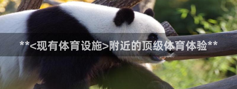 意昂体育3平台：**<现有体育设施>附近的顶级体育体