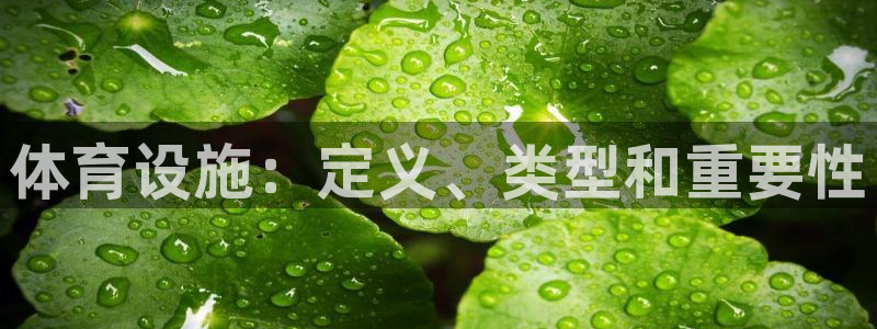 意昂3娱乐是那个系列的台子：体育设施：定义、类型和重