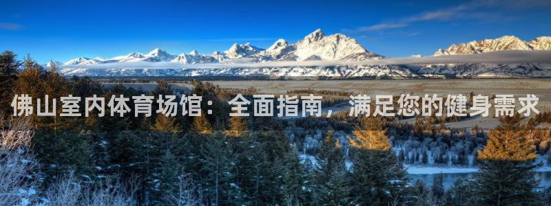 海南意昂体育3：佛山室内体育场馆：全面指南，满足您的