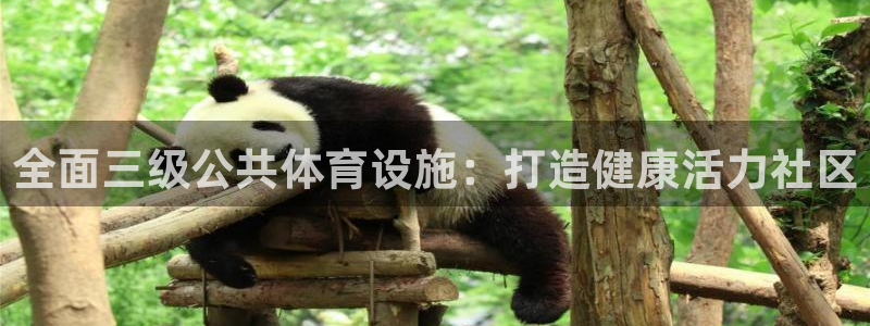 海南意昂体育3发展怎么样：全面三级公共体育设施：打造