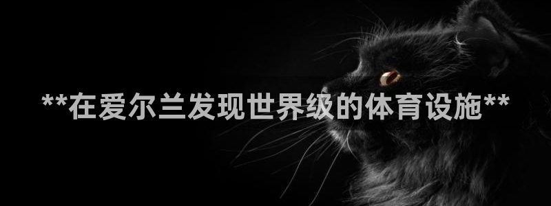 意昂体育3平台：**在爱尔兰发现世界级的体育设施**