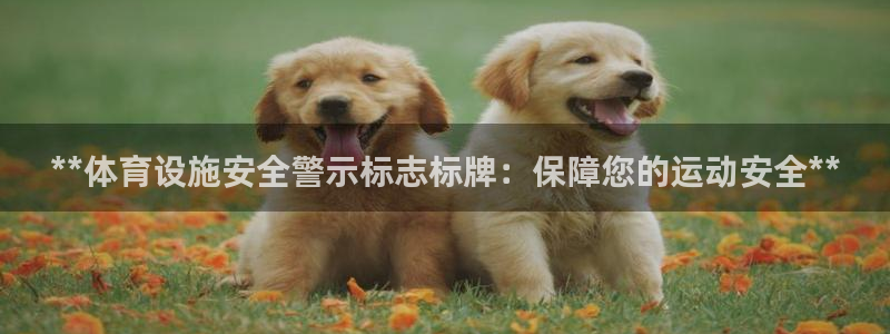 意昂集团官网：**体育设施安全警示标志标牌：保障您的
