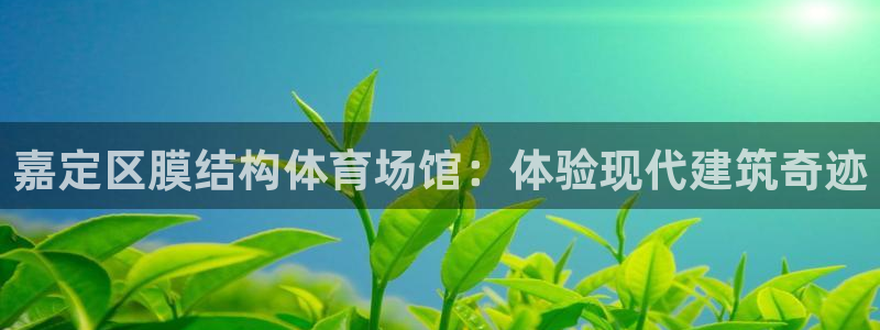 意昂3娱乐下载：嘉定区膜结构体育场馆：体验现代建筑奇
