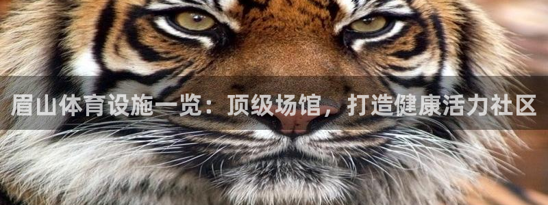 意昂3五金厂：眉山体育设施一览：顶级场馆，打造健康活