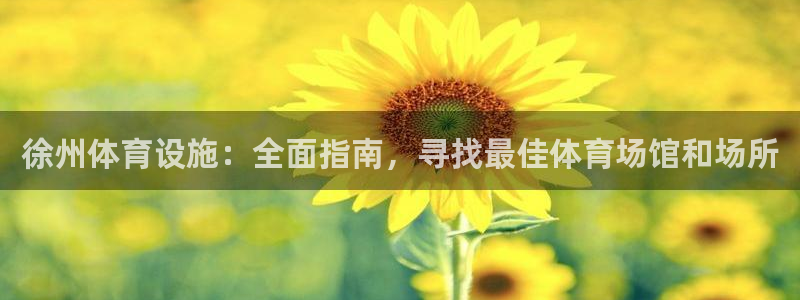 意昂体育3平台APP：徐州体育设施：全面指南，寻找最