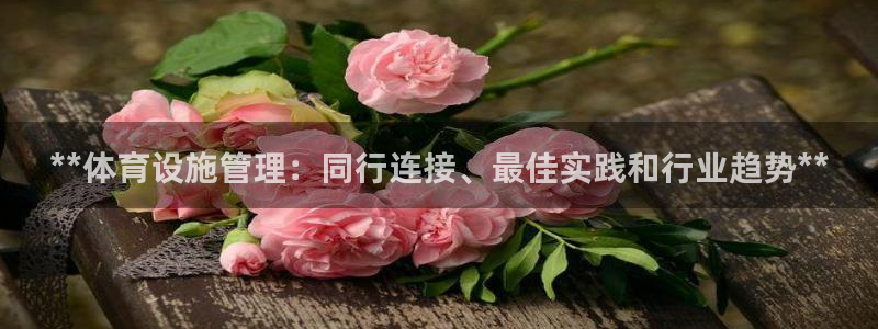 意昂3官网：**体育设施管理：同行连接、最佳实践和行