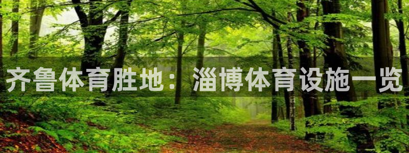 意昂体育3：齐鲁体育胜地：淄博体育设施一览