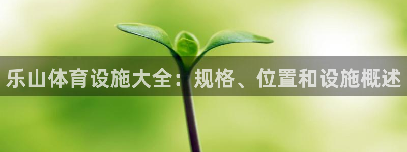 意昂体育3是干嘛的公司：乐山体育设施大全：规格、位置