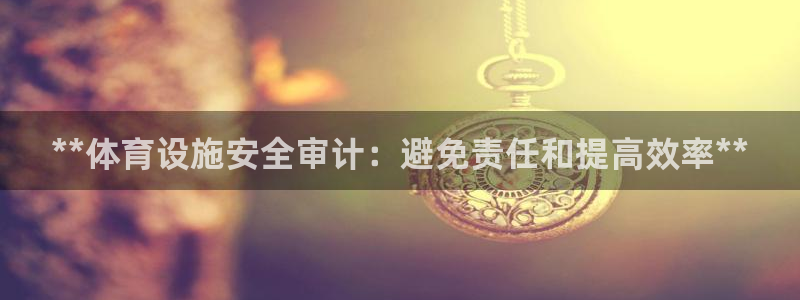 意昂体育3招商电话地址查询：**体育设施安全审计：避