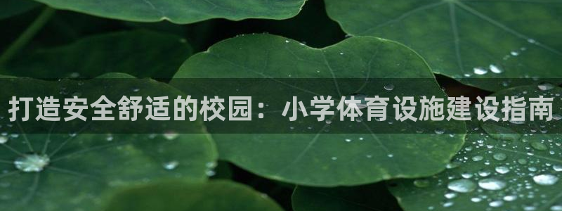 意昂3集团官网网址：打造安全舒适的校园：小学体育设施