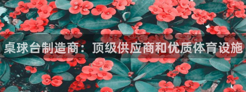 意昂3集团官网首页网址：桌球台制造商：顶级供应商和优
