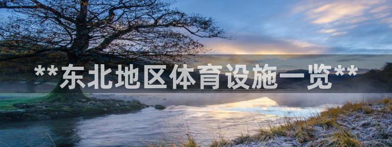 意昂体育3平台注册：**东北地区体育设施一览**
