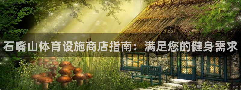 意昂3代理：石嘴山体育设施商店指南：满足您的健身需求