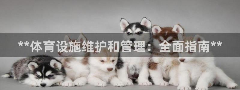 意昂体育3注册：**体育设施维护和管理：全面指南**