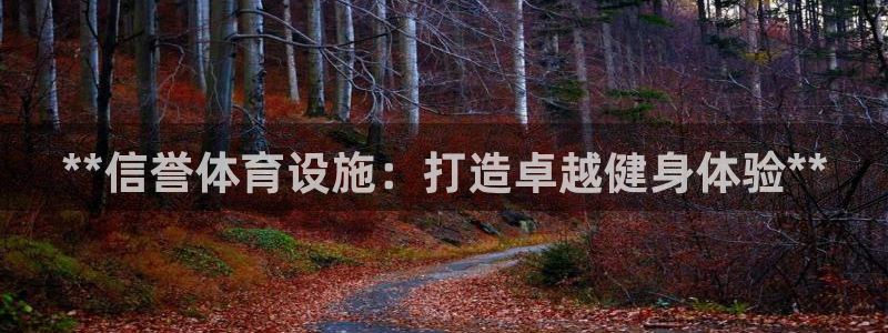 意昂体育3平台注册：**信誉体育设施：打造卓越健身体