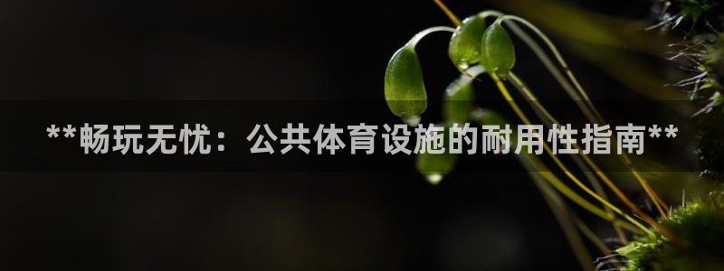 意昂体育3平台注册要钱吗安全吗：**畅玩无忧：公共体