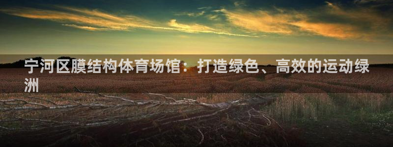 意昂体育3开户：宁河区膜结构体育场馆：打造绿色、高效
