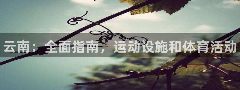 意昂体育3是干嘛的公司：云南：全面指南，运动设施和体