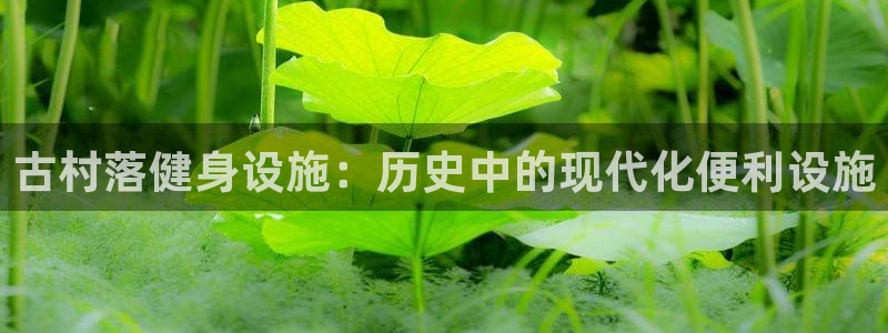 注册意昂3：古村落健身设施：历史中的现代化便利设施