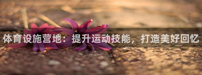 意昂3官方：体育设施营地：提升运动技能，打造美好回忆