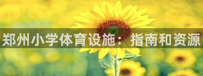 意昂体育3招商电话是多少啊：郑州小学体育设施：指南和