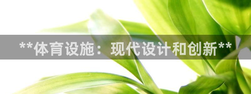 意昂体育3：**体育设施：现代设计和创新**