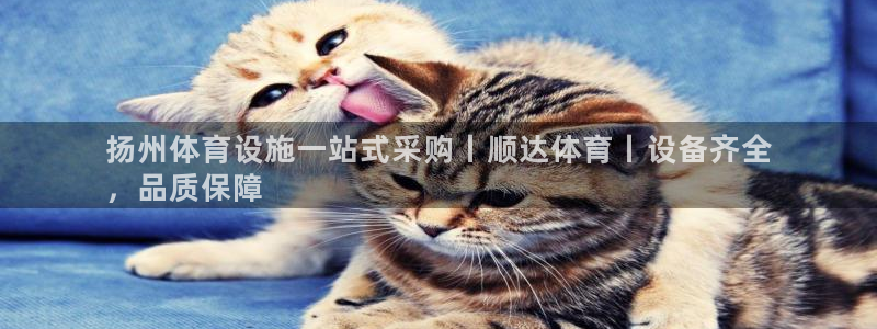 意昂3科技：扬州体育设施一站式采购丨顺达体育丨设备齐