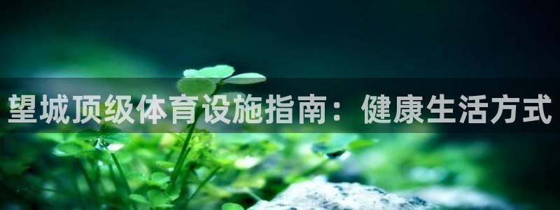 意昂3娱乐下载：望城顶级体育设施指南：健康生活方式