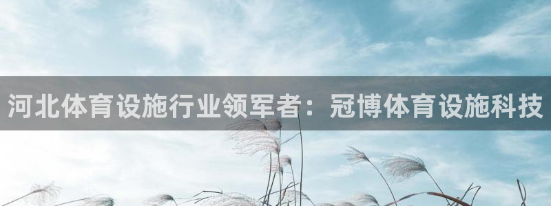 意昂3神州：河北体育设施行业领军者：冠博体育设施科技