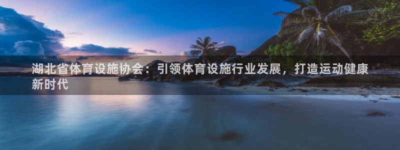 意昂3娱乐平台：湖北省体育设施协会：引领体育设施行业