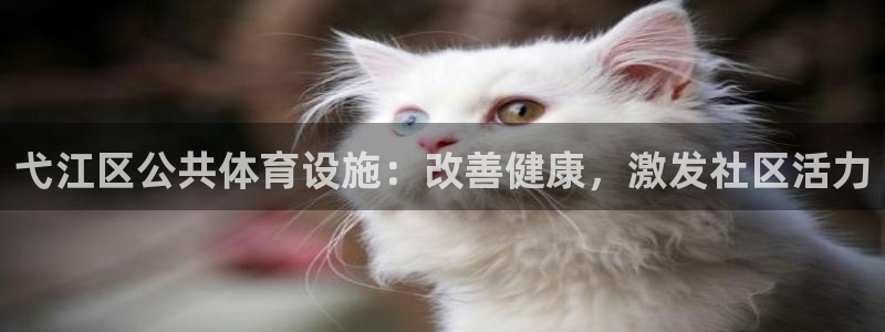 意昂体育3平台注册要钱吗：弋江区公共体育设施：改善健