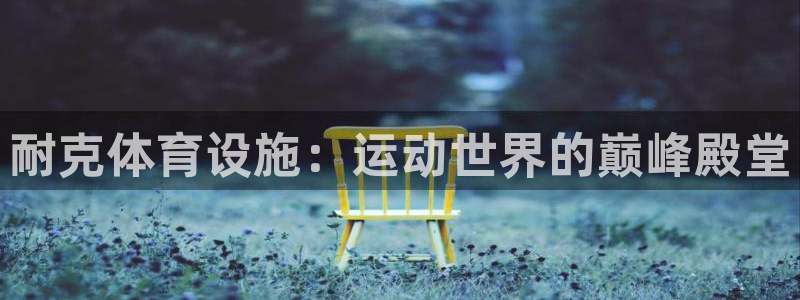 意昂体育3平台是正规平台吗安全吗：耐克体育设施：运动