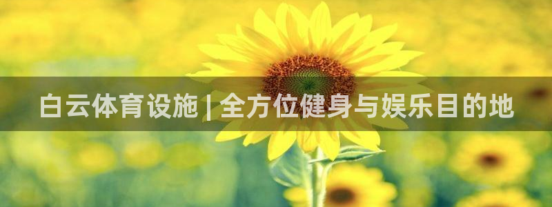 意昂3集团E.ON：白云体育设施 | 全方位健身与娱