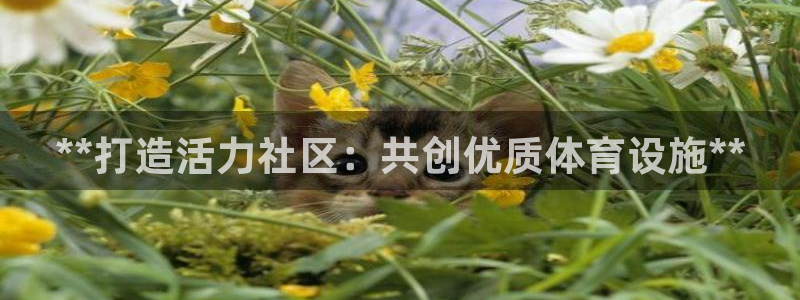 意昂3官网：**打造活力社区：共创优质体育设施**