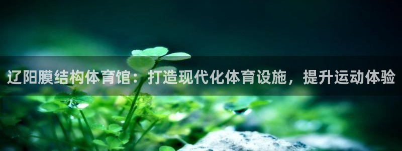 意昂3娱乐是那个系列的台子：辽阳膜结构体育馆：打造现