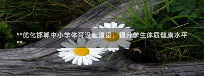 意昂体育3平台假的吗是真的吗吗：**优化邯郸中小学体