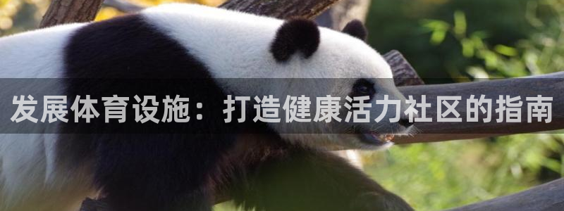 意昂体育3平台注册：发展体育设施：打造健康活力社区的