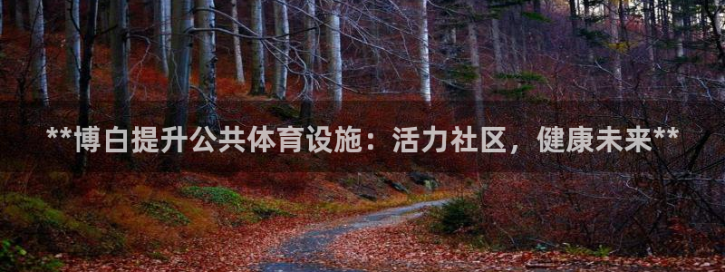 意昂体育3是干嘛的公司：**博白提升公共体育设施：活