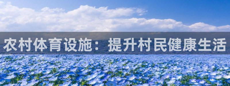 意昂体育3平台是正规平台吗安全吗：农村体育设施：提升